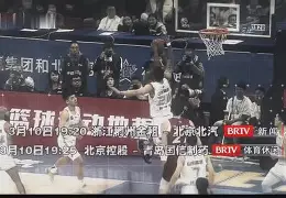 新疆男篮vs广东1617赛季总决赛