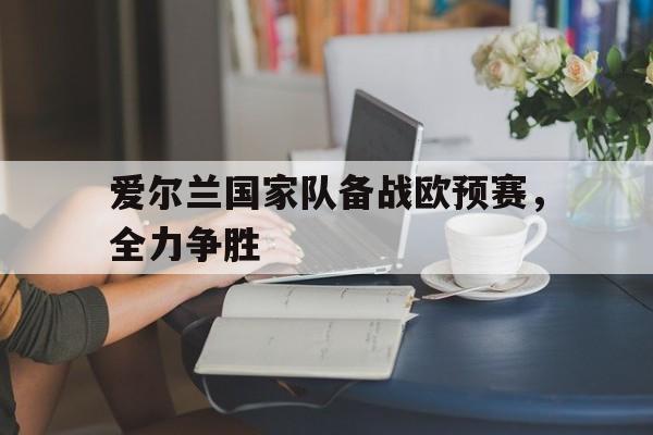 爱尔兰欧洲杯预选赛